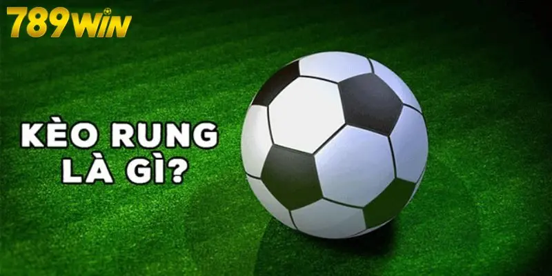 Hướng dẫn cách đánh rung chi tiết